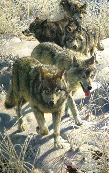 (image for) Handmade Oil painting for home canvas, oil painting framed canvas for living room Carl Brenders paintings Miles to Go-Wolves - Click Image to Close